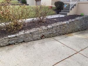 A stone retaining wall with a small drainage pipe runs along a concrete driveway. Leafless shrubs line the top of the wall, and steps lead up to a grassy yard and house in the background.