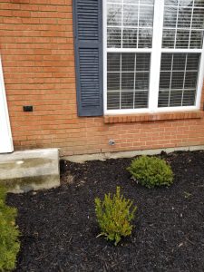 Brick And Stone Repairs 7 Brick wall with door and mailbox