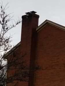 Chimney Repair 10 A brick house with a tall chimney, topped with a metal cap, is shown against a cloudy sky. Bare tree branches are visible in the foreground.