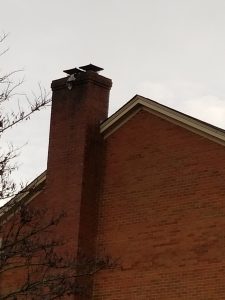 A brick house with a tall brick chimney extends above the roofline. A metal chimney cap is visible on top, and bare tree branches are seen in the foreground against an overcast sky.