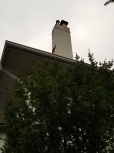 A tall white chimney rises above the roof of a house, partially obscured by green bushes, against an overcast sky.